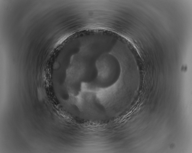 X0000100330871200806051532