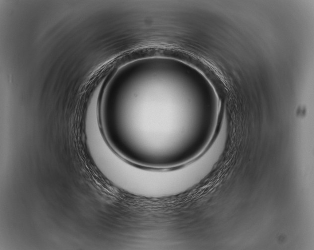 X0000100330872200806051532