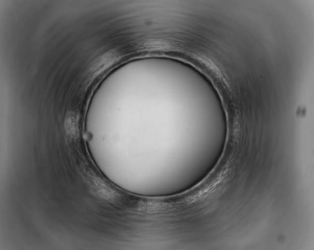 X0000100330873200806051532