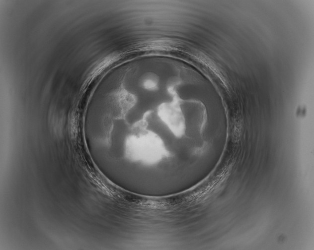 X0000100330874200806051532