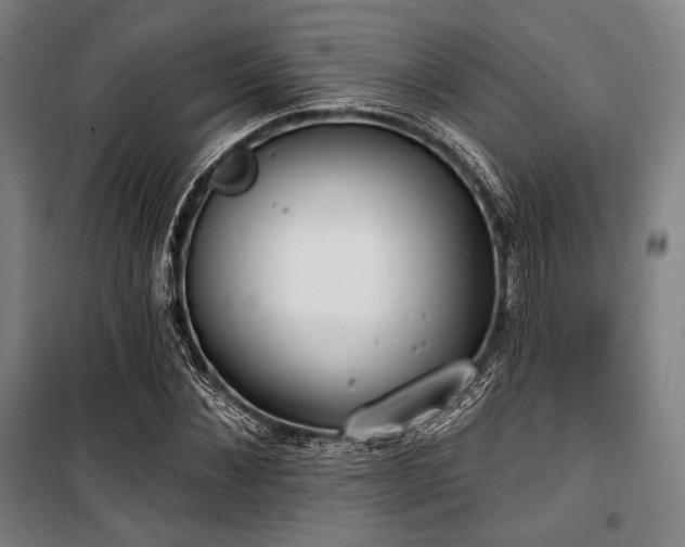 X0000100330876200806051532