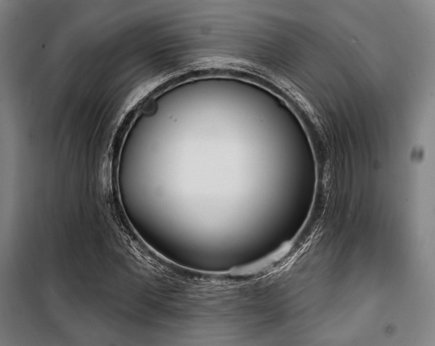 X0000100330877200806051532