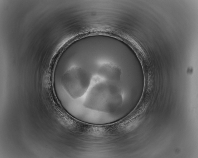 X0000100330878200806051532