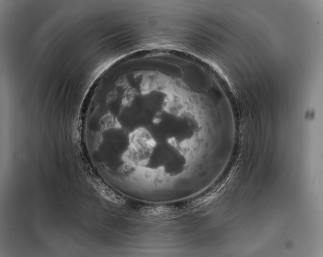 X0000100330879200806051532