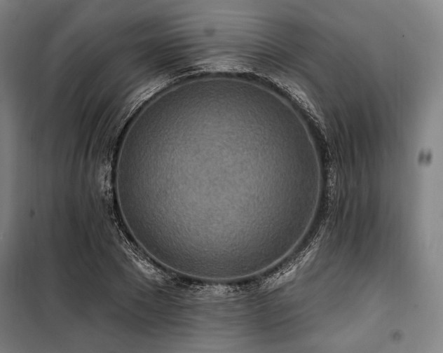 X0000100330881200806051531