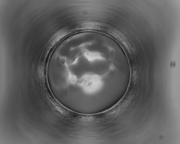 X0000100330882200806051531
