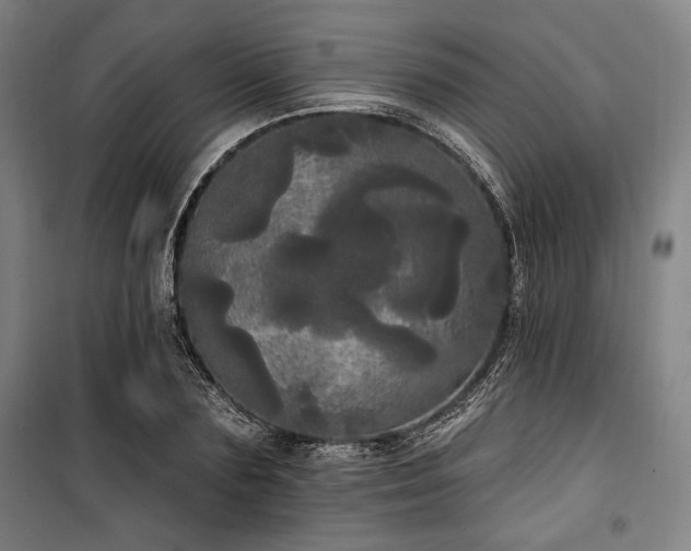 X0000100330883200806051531
