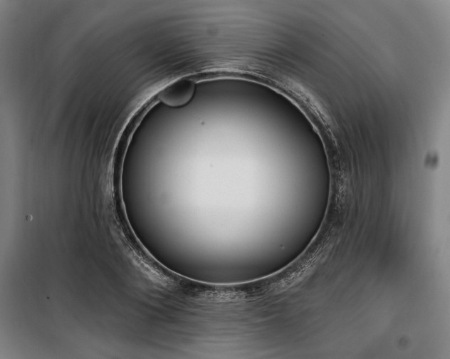 X0000100330884200806051531