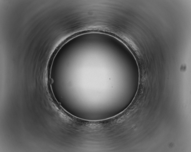 X0000100330888200806051531