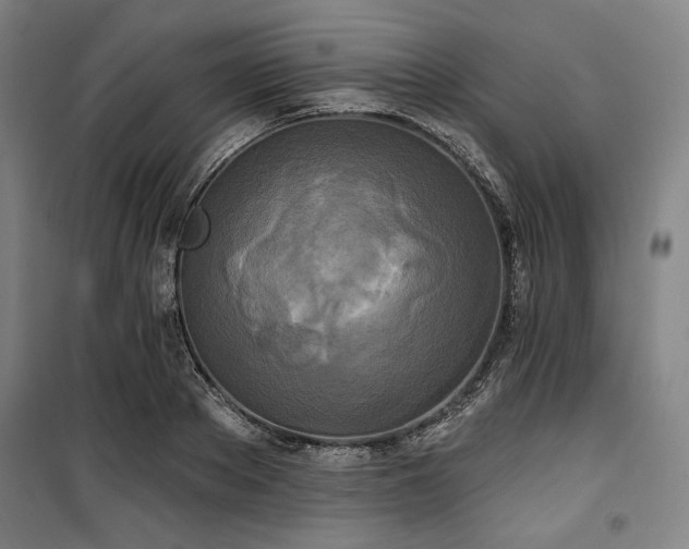 X0000100330889200806051531