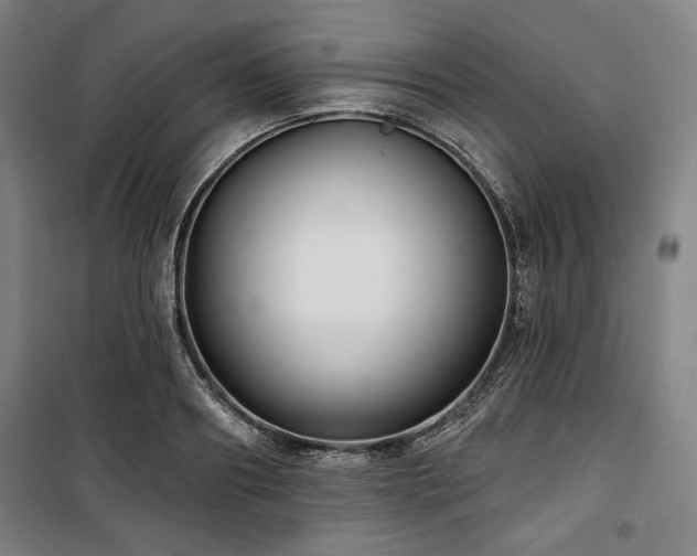 X0000100330890200806051531