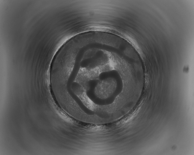 X0000100330891200806051531