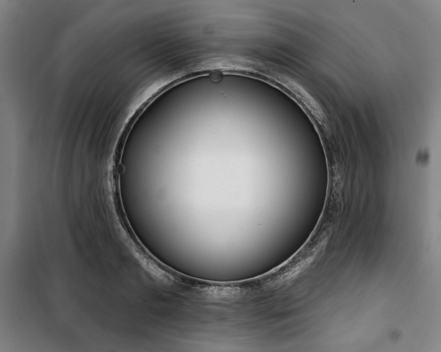 X0000100330893200806051531