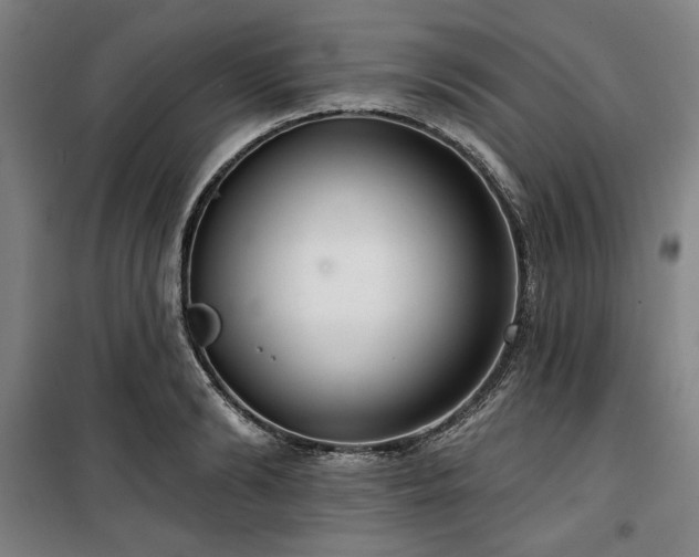 X0000100330894200806051531