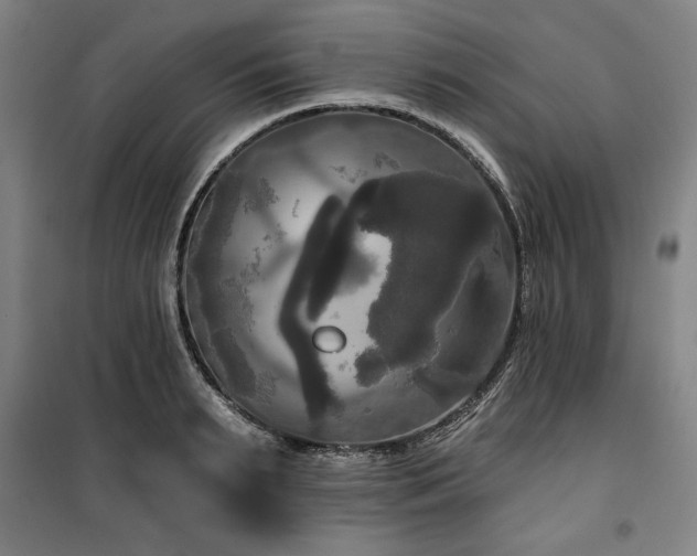 X0000100330895200806051531