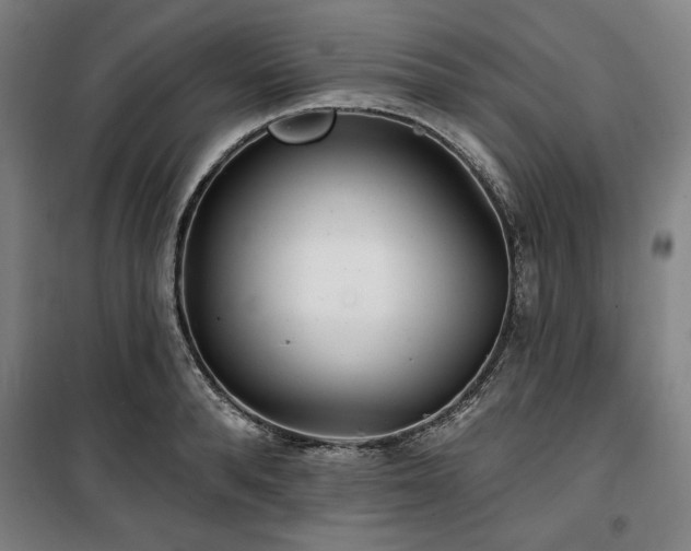 X0000100330896200806051531