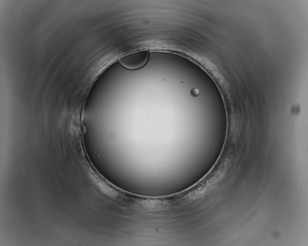 X0000100330897200806051531
