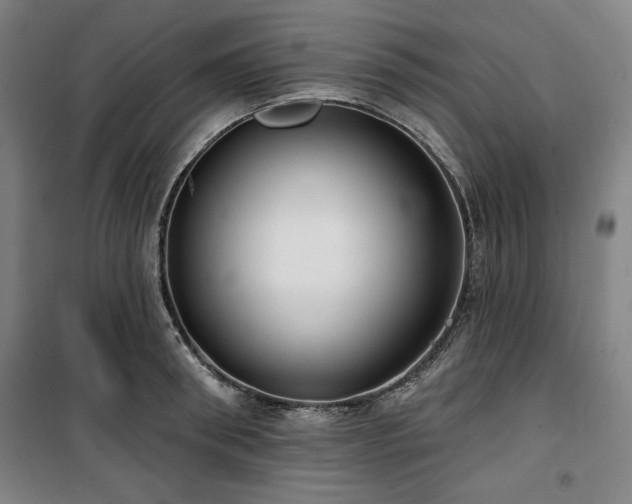 X0000100330898200806051531