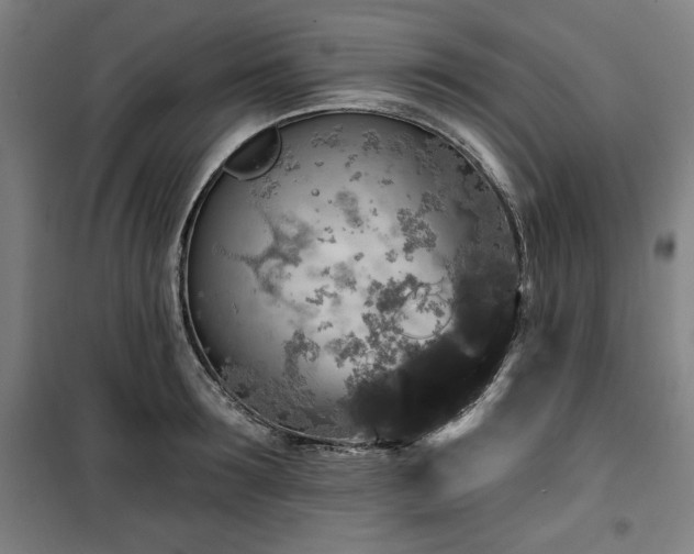 X0000100330899200806051531