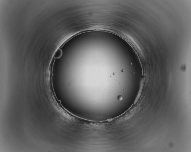 X0000100330900200806051531