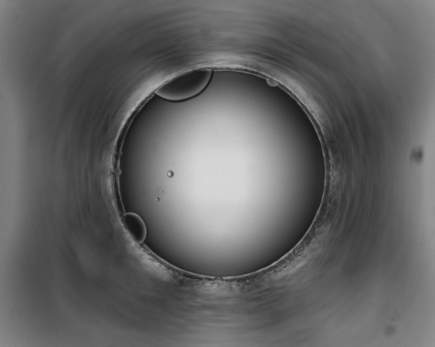 X0000100330901200806051531