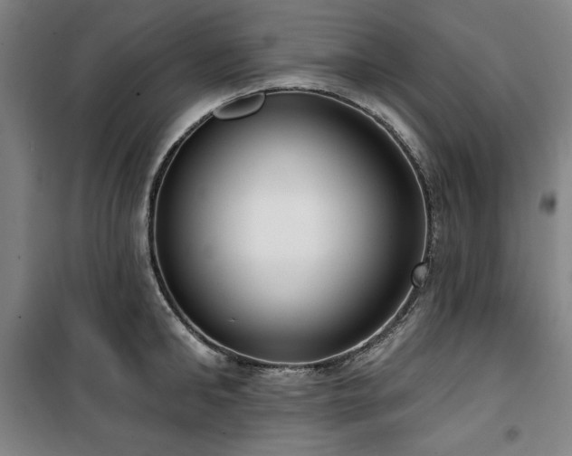 X0000100330902200806051531