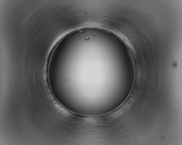 X0000100330904200806051531