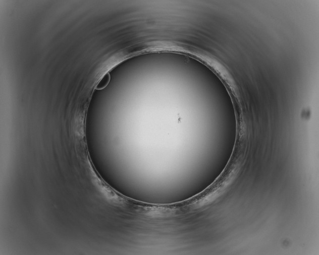 X0000100330905200806051531