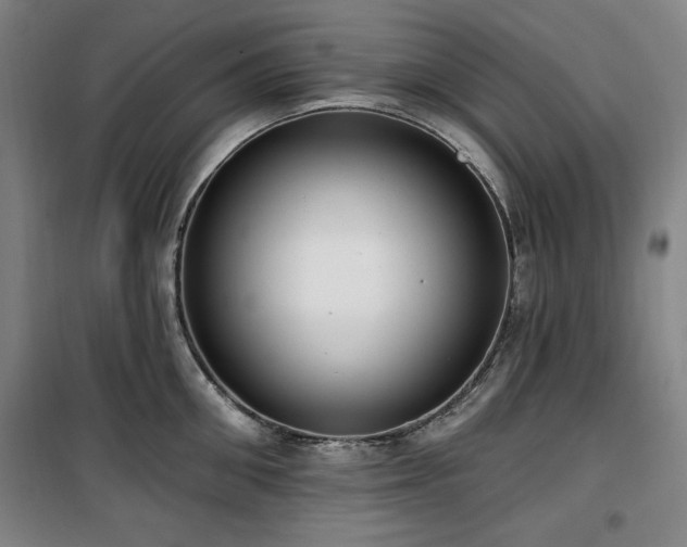 X0000100330906200806051531