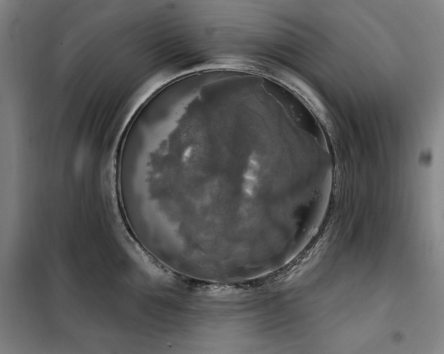 X0000100330907200806051531