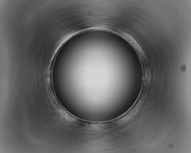 X0000100330908200806051531