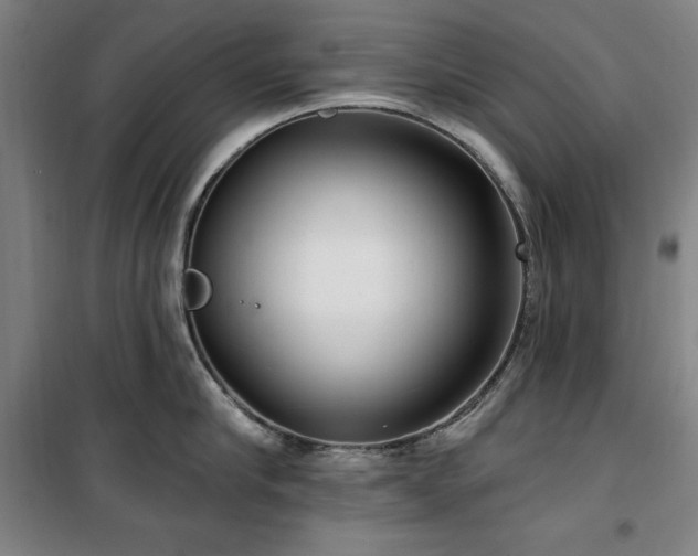 X0000100330910200806051531