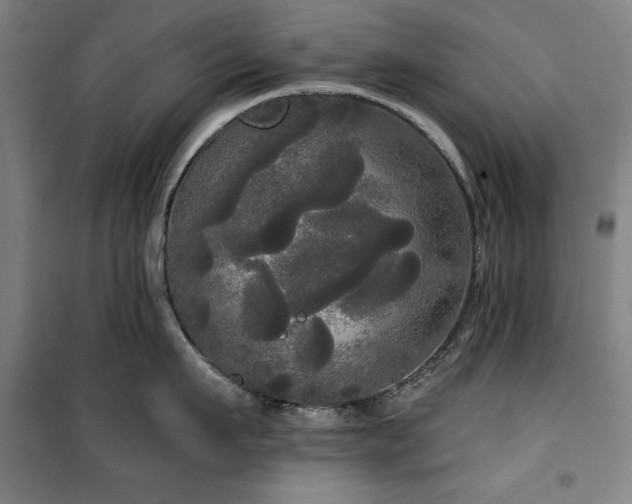 X0000100330911200806051531