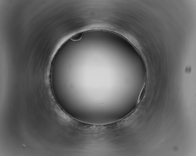 X0000100330912200806051531