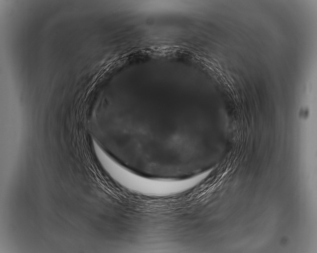 X0000100330913200806051530