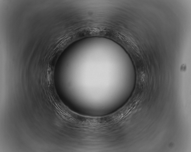 X0000100330914200806051530