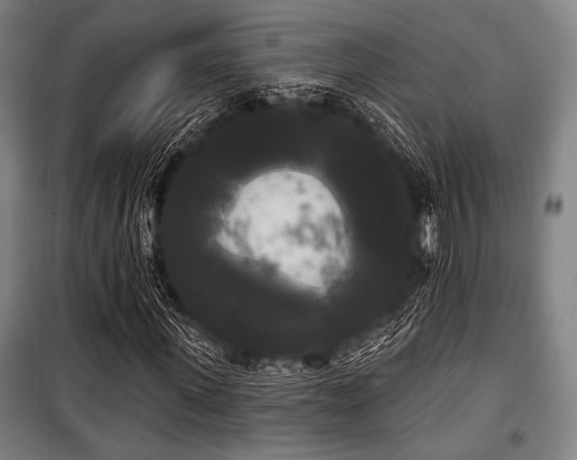 X0000100330915200806051530