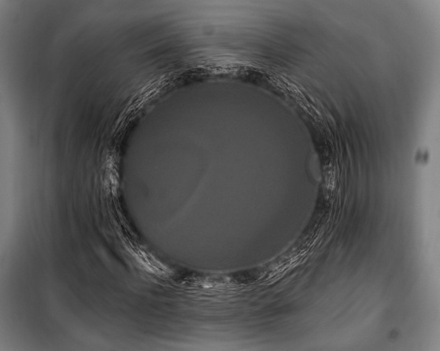 X0000100330916200806051530