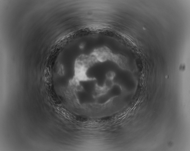 X0000100330917200806051530