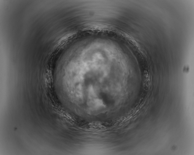 X0000100330918200806051530