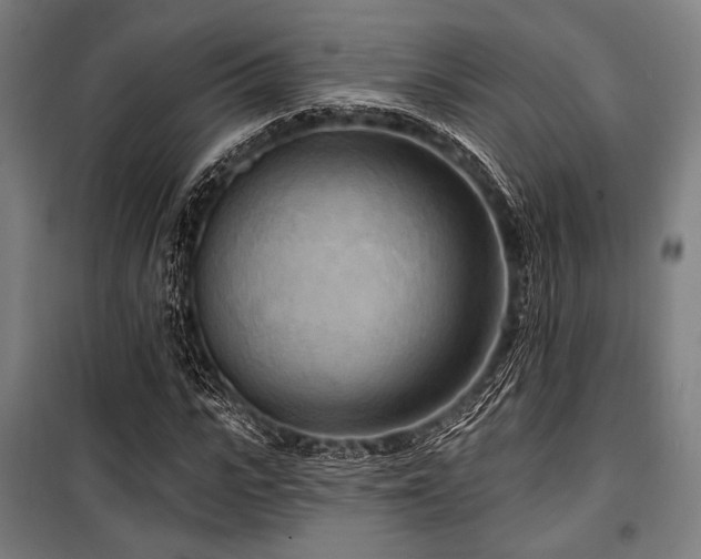 X0000100330919200806051530