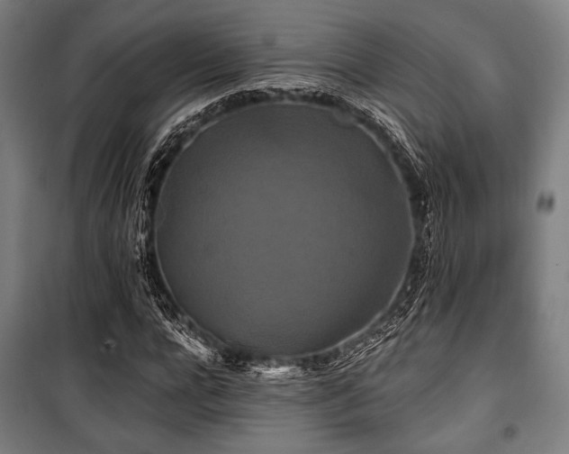 X0000100330920200806051530