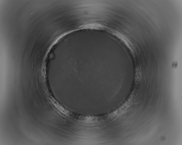X0000100330923200806051530