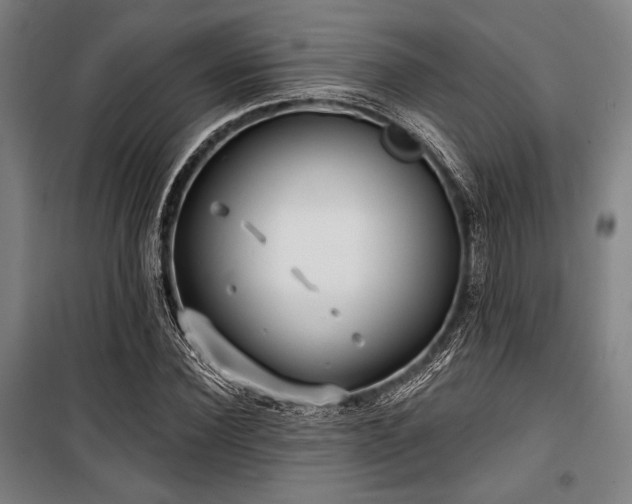 X0000100330924200806051530
