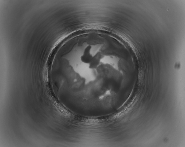 X0000100330925200806051530