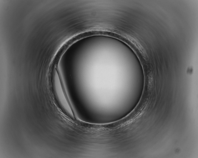 X0000100330926200806051530