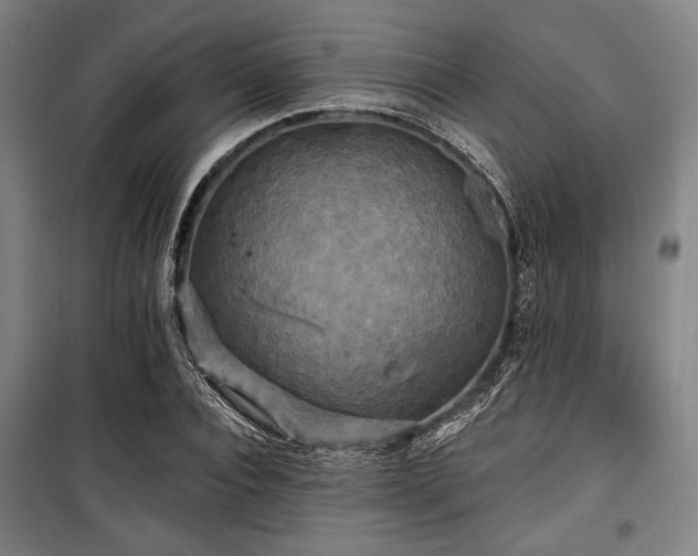X0000100330928200806051531