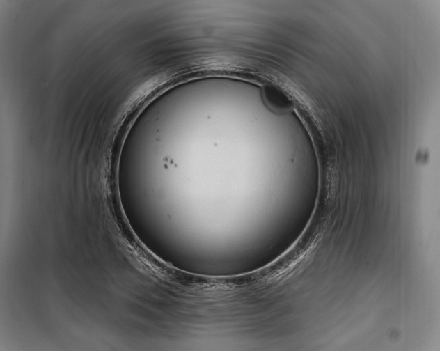 X0000100330930200806051531