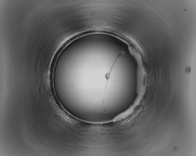 X0000100330932200806051531
