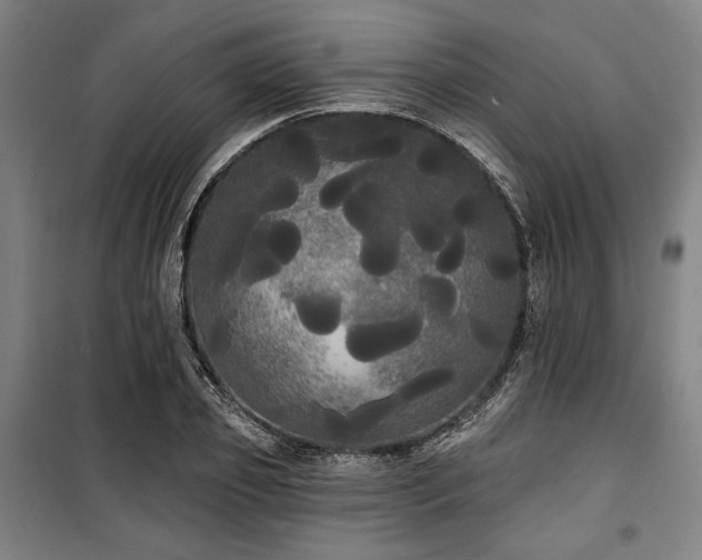 X0000100330933200806051531